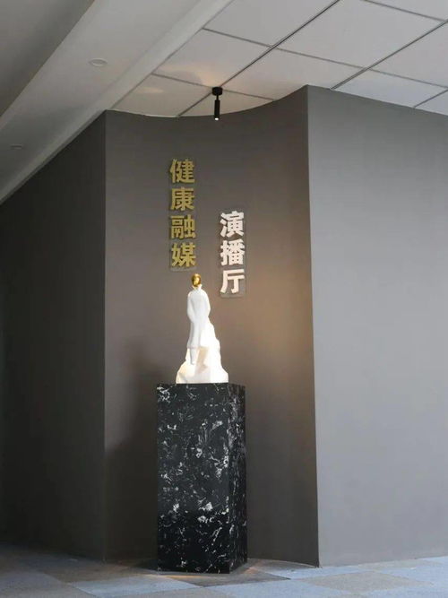 健康融媒演播廳正式上線 唱響健康好聲音，探索工藝美術(shù)品零售新方向